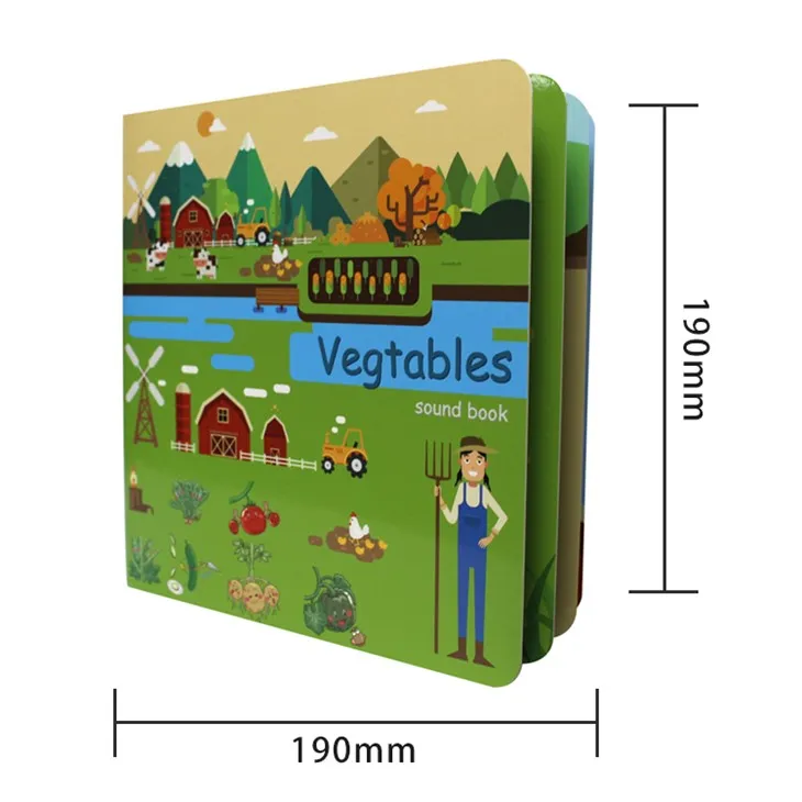 Special Design Moana Sound Book