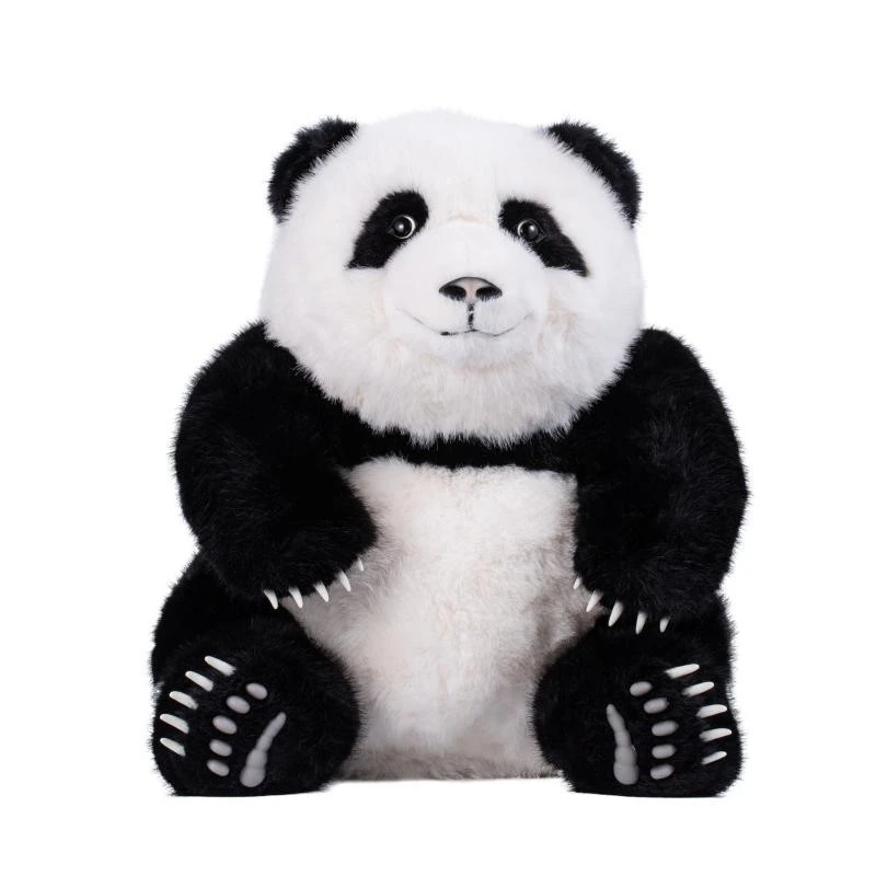 Ai Learning Toys And Educational Stem Kits Companion Electronic Pet APP Support 60 Languages manufacturers